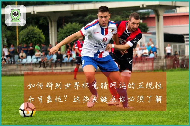如何辨别世界杯竞猜网站的正规性和可靠性？这些关键点你必须了解