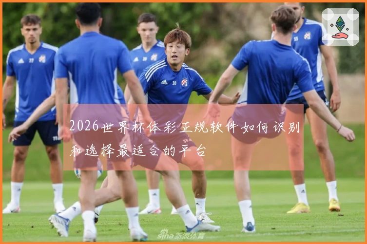 2026世界杯体彩正规软件如何识别和选择最适合的平台