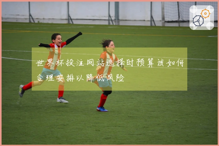世界杯投注网站选择时预算该如何合理安排以降低风险