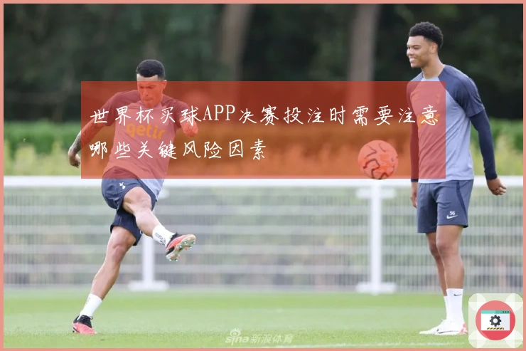 世界杯买球APP决赛投注时需要注意哪些关键风险因素