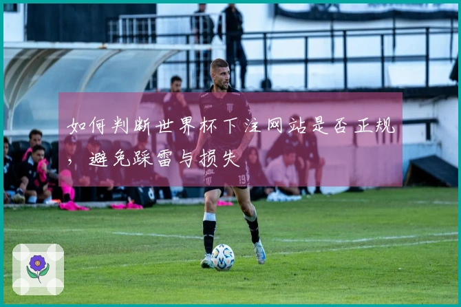 如何判断世界杯下注网站是否正规，避免踩雷与损失