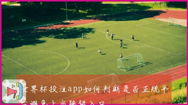 世界杯投注app如何判断是否正规平台避免上当跑错入口