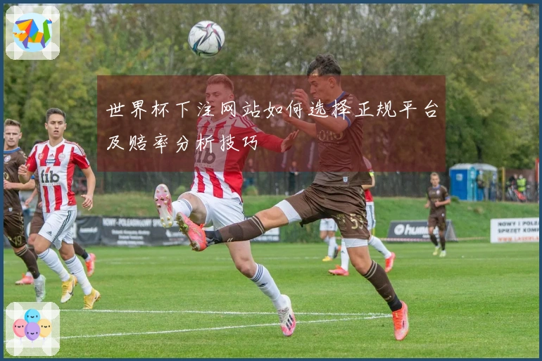 世界杯下注网站如何选择正规平台及赔率分析技巧