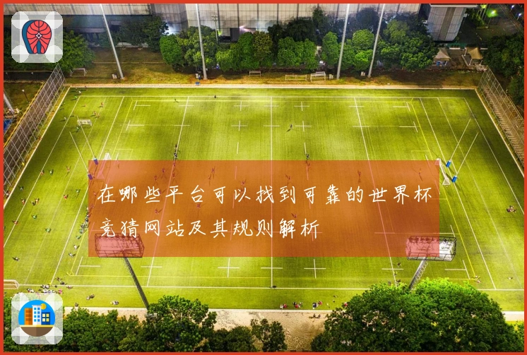 在哪些平台可以找到可靠的世界杯竞猜网站及其规则解析