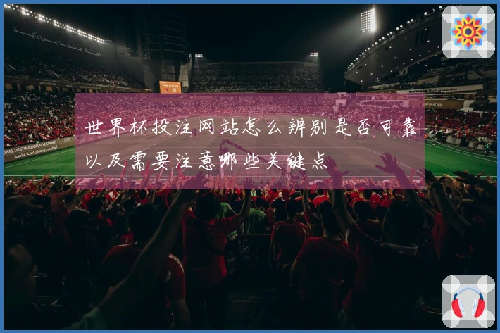 世界杯投注网站怎么辨别是否可靠以及需要注意哪些关键点