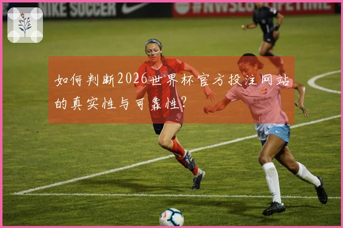 如何判断2026世界杯官方投注网站的真实性与可靠性？