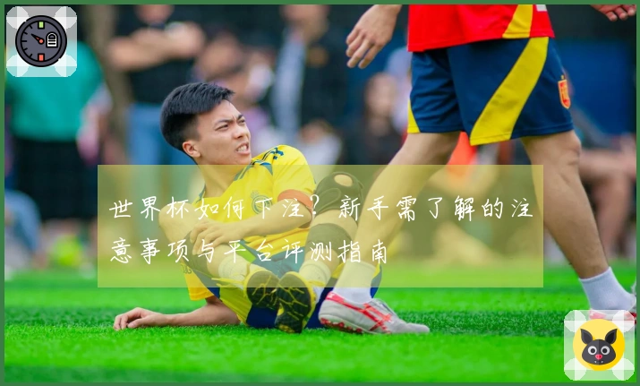 世界杯如何下注?新手需了解的注意事项与平台评测指南