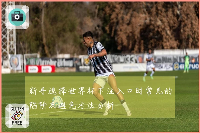 新手选择世界杯下注入口时常见的陷阱及避免方法分析