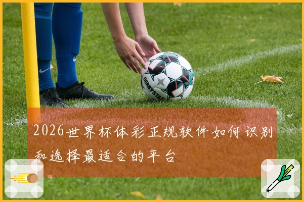 2026世界杯体彩正规软件如何识别和选择最适合的平台