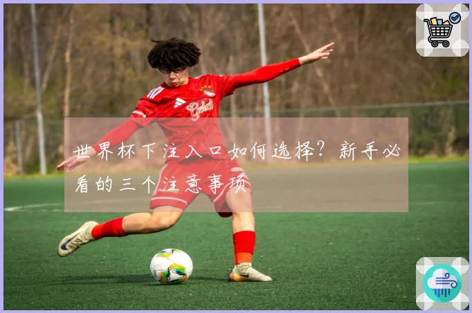 世界杯下注入口如何选择？新手必看的三个注意事项