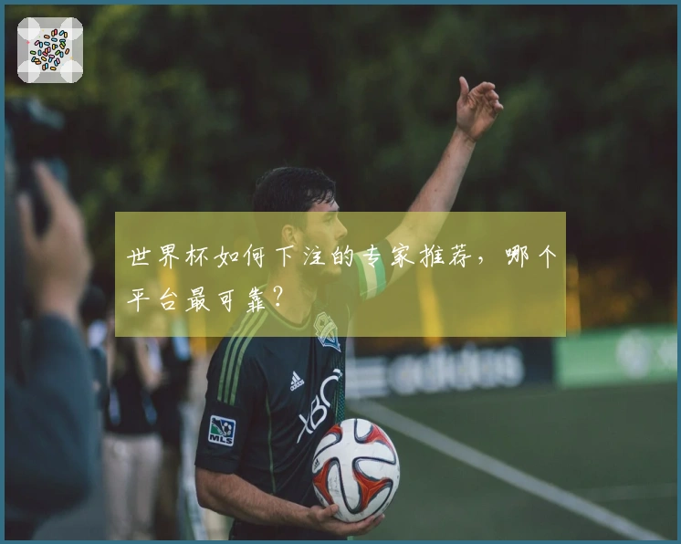 世界杯如何下注的专家推荐，哪个平台最可靠？