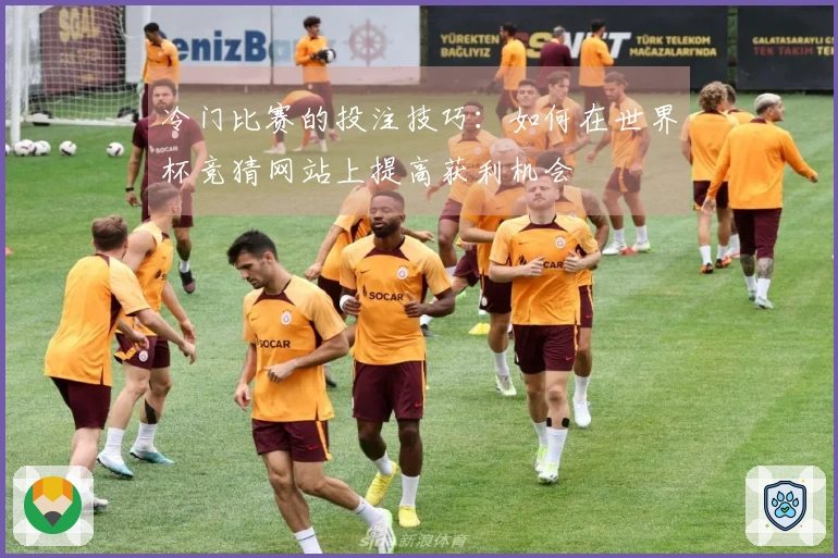 冷门比赛的投注技巧：如何在世界杯竞猜网站上提高获利机会