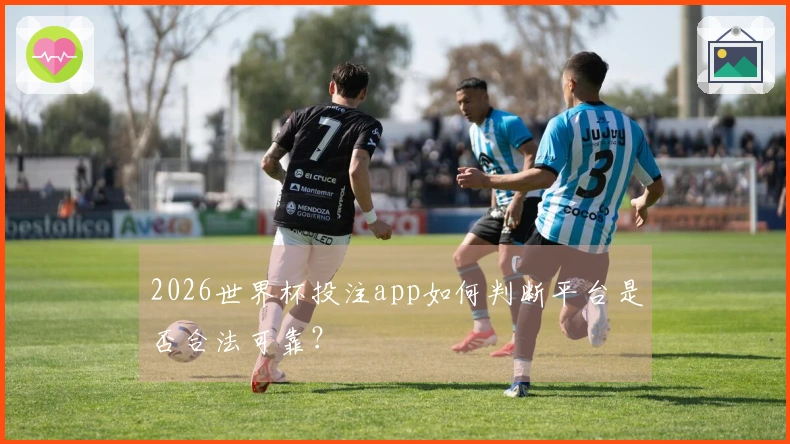 2026世界杯投注app如何判断平台是否合法可靠？