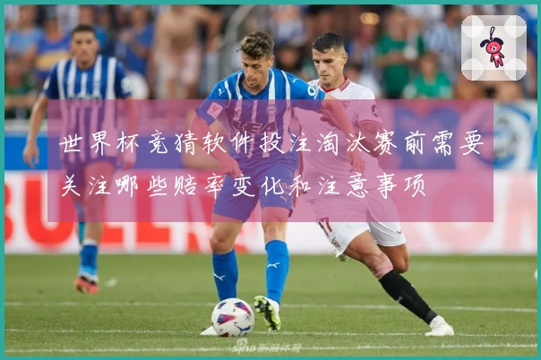 世界杯竞猜软件投注淘汰赛前需要关注哪些赔率变化和注意事项