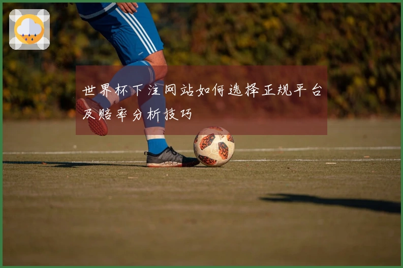 世界杯下注网站如何选择正规平台及赔率分析技巧