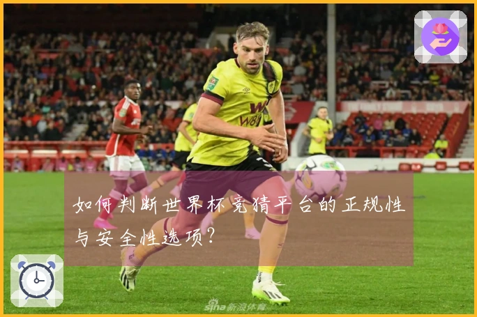 如何判断世界杯竞猜平台的正规性与安全性选项？