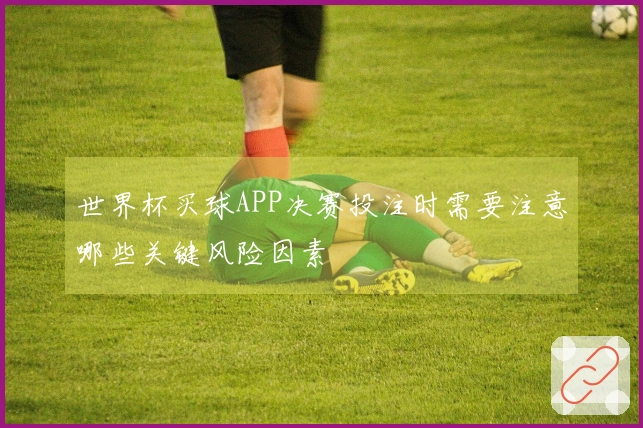 世界杯买球APP决赛投注时需要注意哪些关键风险因素