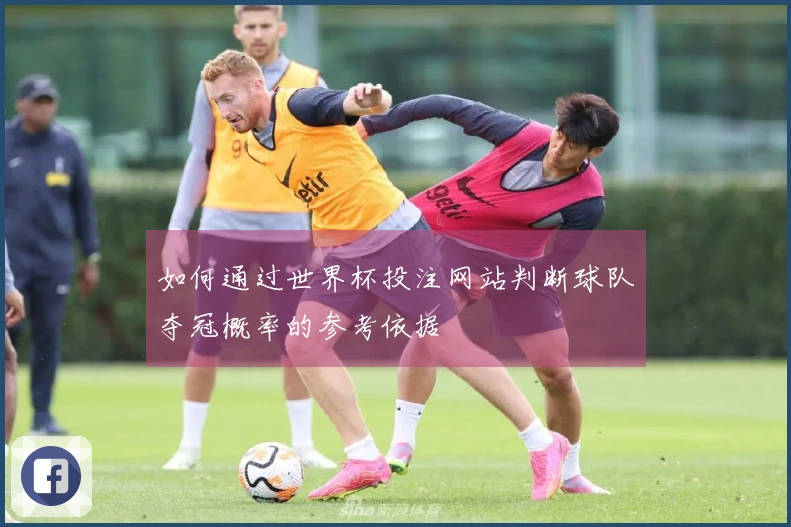 如何通过世界杯投注网站判断球队夺冠概率的参考依据