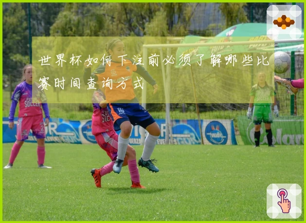 世界杯如何下注前必须了解哪些比赛时间查询方式
