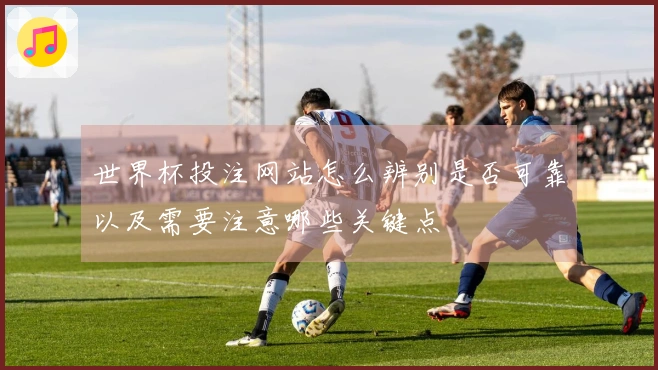 世界杯投注网站怎么辨别是否可靠以及需要注意哪些关键点