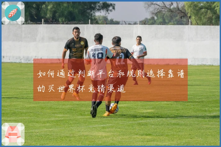 如何通过判断平台和规则选择靠谱的买世界杯竞猜渠道