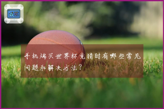 手机端买世界杯竞猜时有哪些常见问题和解决方法？