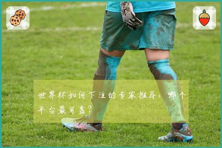 世界杯如何下注的专家推荐，哪个平台最可靠？