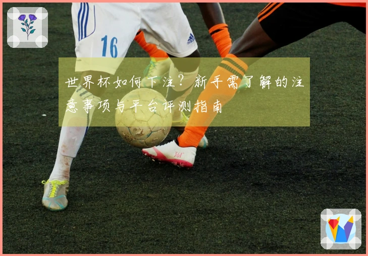 世界杯如何下注？新手需了解的注意事项与平台评测指南