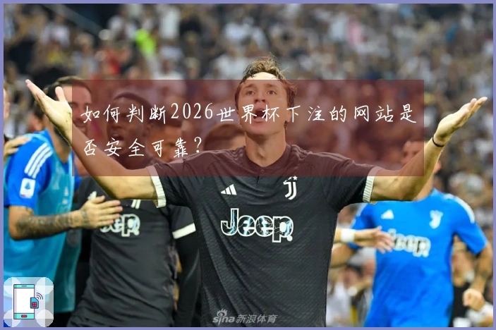 如何判断2026世界杯下注的网站是否安全可靠？