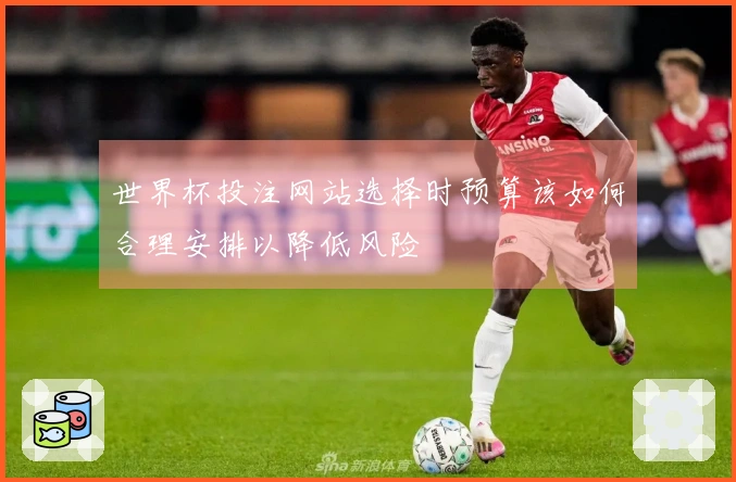 世界杯投注网站选择时预算该如何合理安排以降低风险