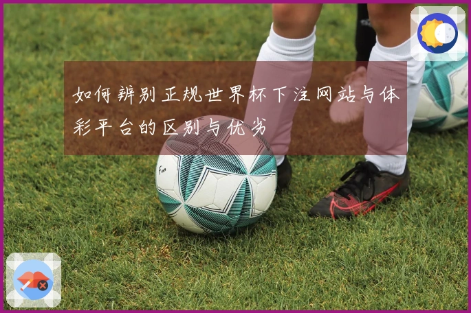 如何辨别正规世界杯下注网站与体彩平台的区别与优劣