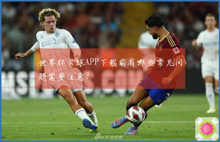 世界杯买球APP下载前有哪些常见问题需要注意？