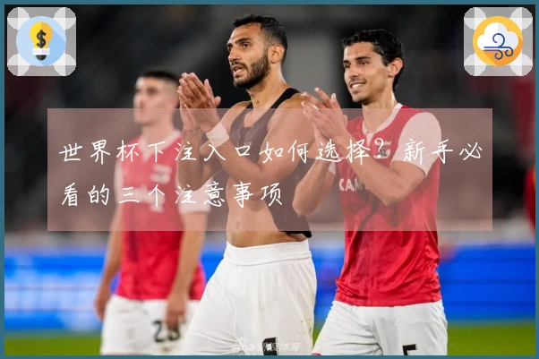 世界杯下注入口如何选择？新手必看的三个注意事项