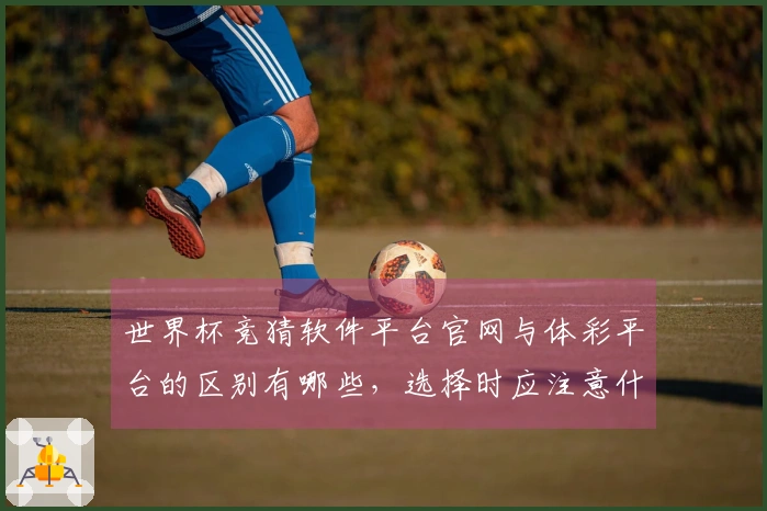 世界杯竞猜软件平台官网与体彩平台的区别有哪些，选择时应注意什么
