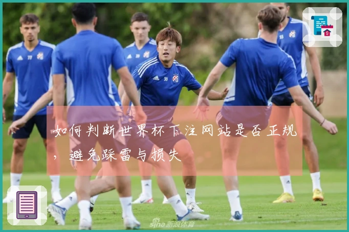 如何判断世界杯下注网站是否正规，避免踩雷与损失