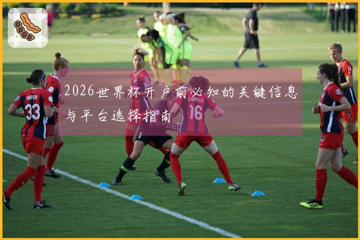 2026世界杯开户前必知的关键信息与平台选择指南