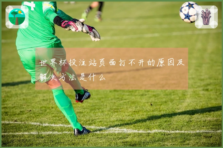 世界杯投注站页面打不开的原因及解决方法是什么