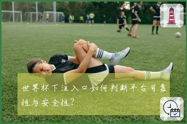 世界杯下注入口如何判断平台可靠性与安全性？