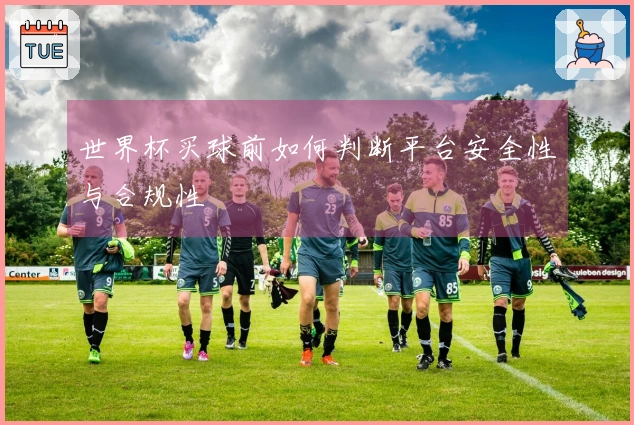 世界杯买球前如何判断平台安全性与合规性